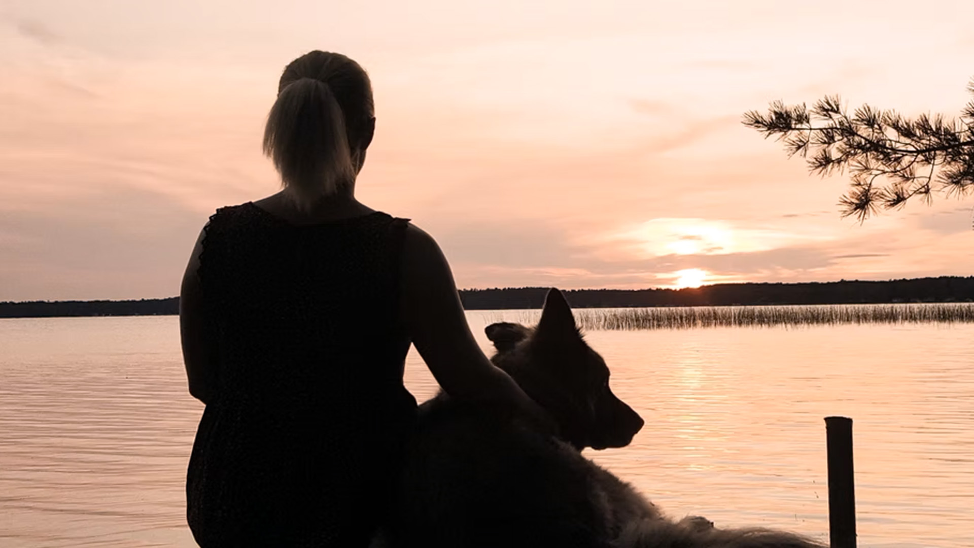 Woman sitting by a lake at sunset with her dog – Peace for Paws in-home pet care and support