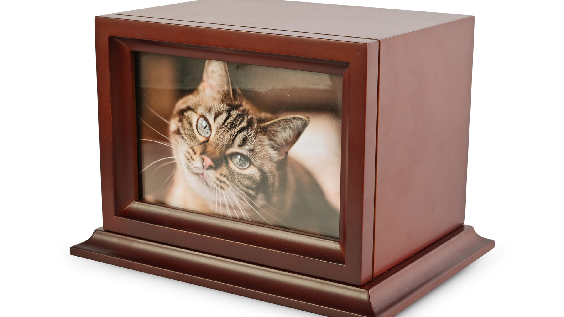 Serenity urn product